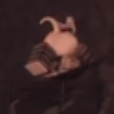 Profile image of 토끼소녀