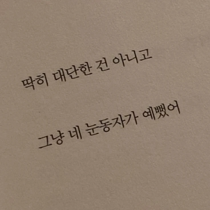 차두리