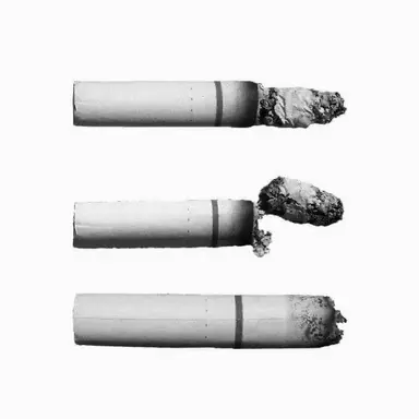 Profile image of 도주호