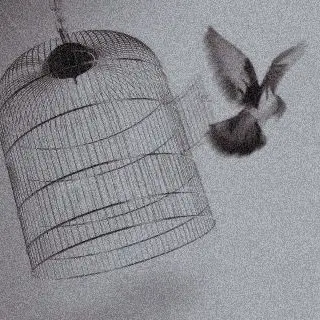 Profile image of 데미안