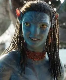 Profile image of 네테이암