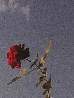 Kairaa__san의 遠くに逃げよ。