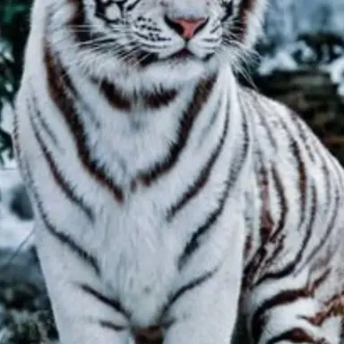 Profile image of 테랑