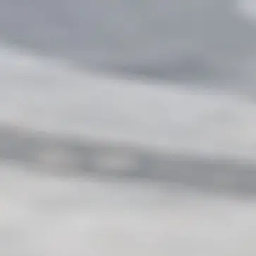 Profile image of 잠뜰