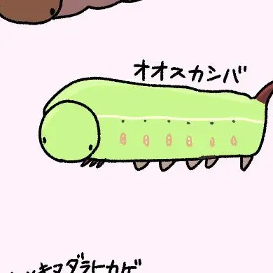 PetiteHelm1169의 -いもむしたちと幸せな日々-
