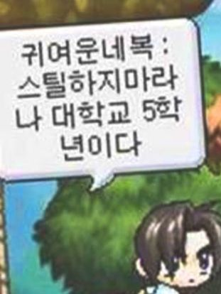 허구뿐인 여름을 사랑해도 대표 이미지