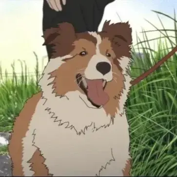 TamestTube0830의 Dog Park