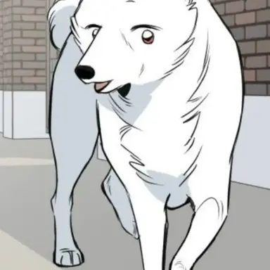 Profile image of 하얀