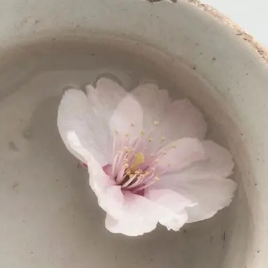 Profile image of アンシン