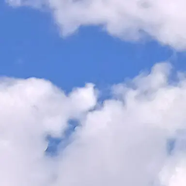 Profile image of 찌엘