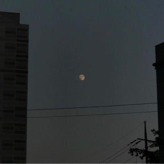 타노스팀 대표 이미지