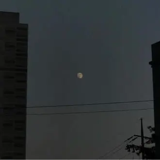 HugeMotor5050의 타노스팀