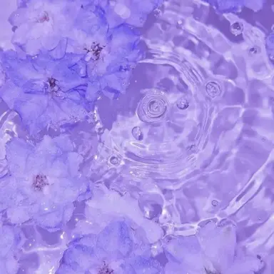 Profile image of 멜로우