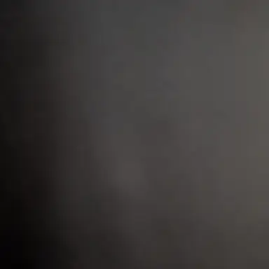 Profile image of 真人