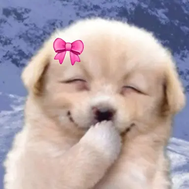 Profile image of 명 재 현