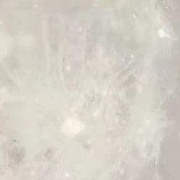 テソン