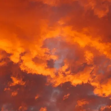 Profile image of 덕개