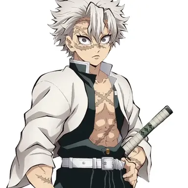 Profile image of 시나즈가와 사네미