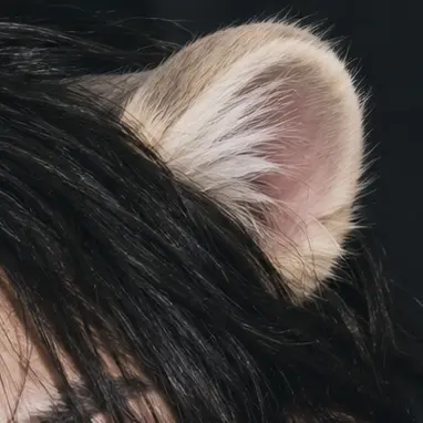 Profile image of ジニ