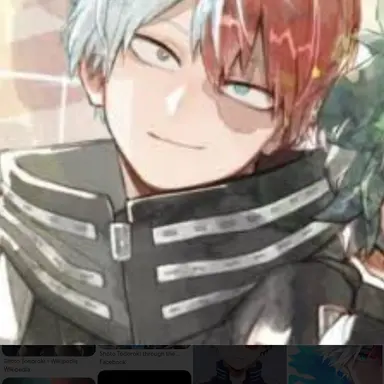Profile image of Shoto Todoroki
