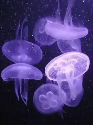 kii._._0321의 ババ活男子。__