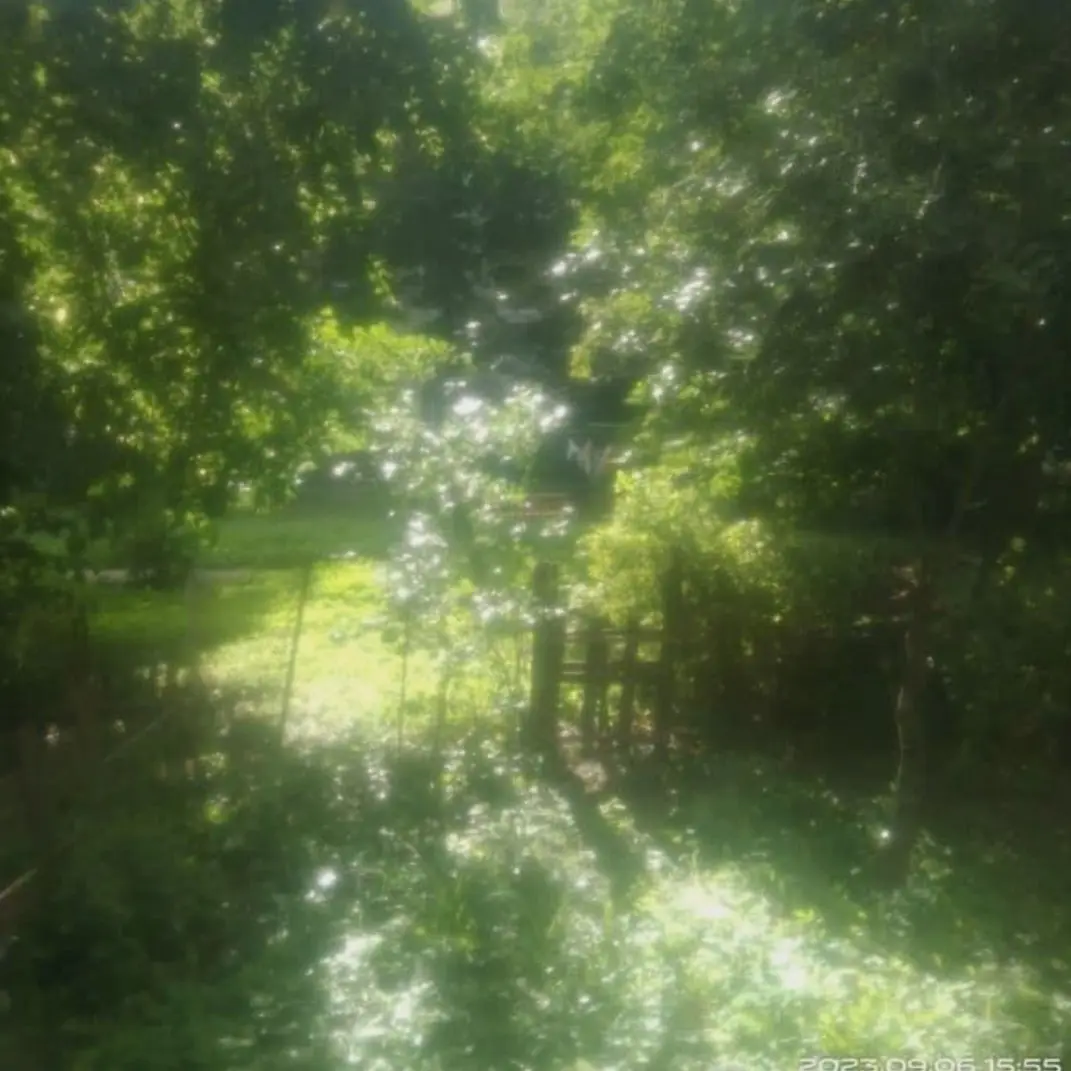 cheawon_07의 화월 (花月)