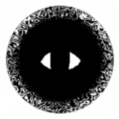 Profile image of 신