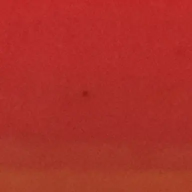 Profile image of 류