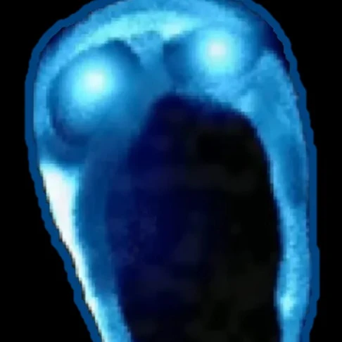 뎁스