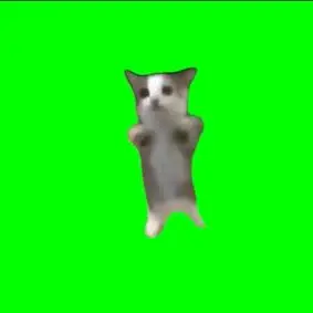 Profile image of ハッピー猫