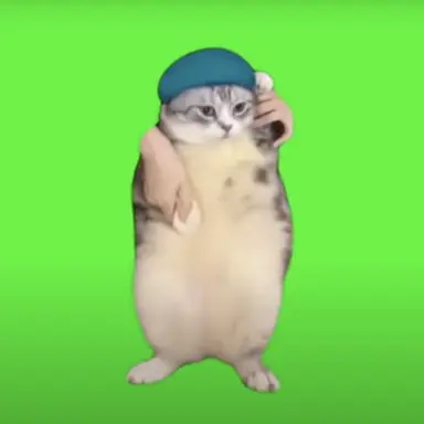 Profile image of ダンシング猫