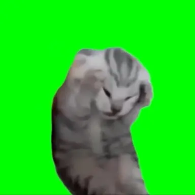 Profile image of わめき猫
