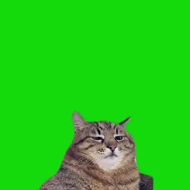 Profile image of ダル猫