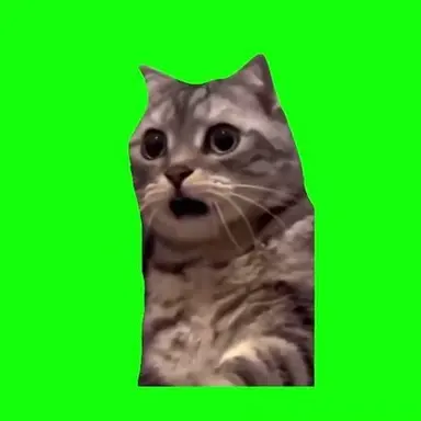 Profile image of あんぐり猫