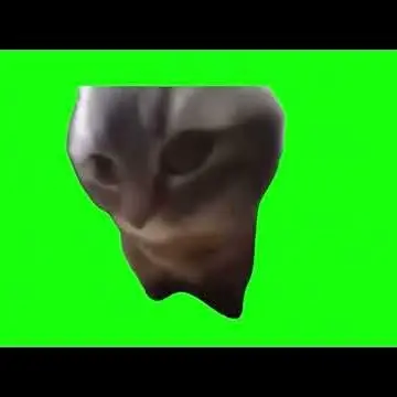 Profile image of ﾁﾋﾟﾁｬﾊﾟ猫