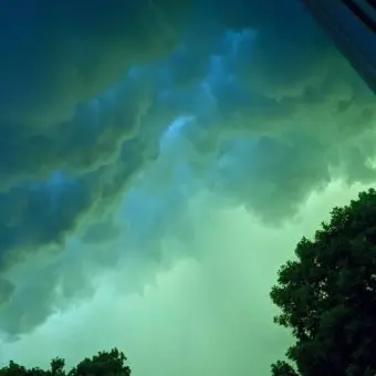 Profile image of 오뉴