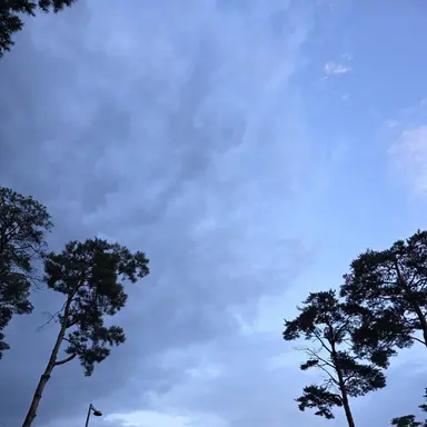 Profile image of 잭