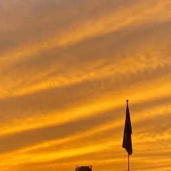 Profile image of 제미니