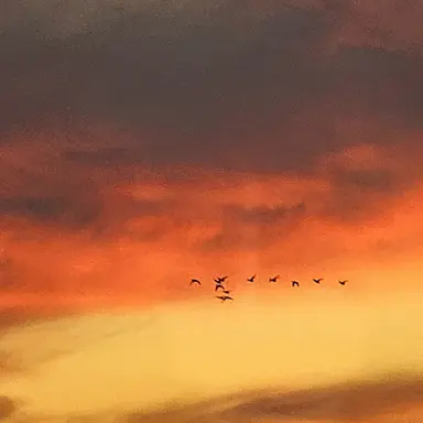 Profile image of 류