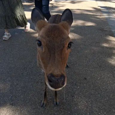 Profile image of 일찐무리
