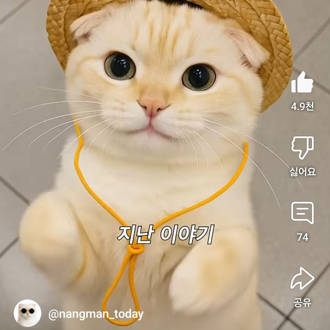 오늘도 낭만 대표 이미지