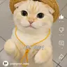 Profile image of 낭만