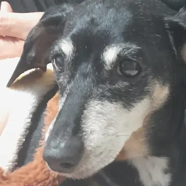 Profile image of 김사랑