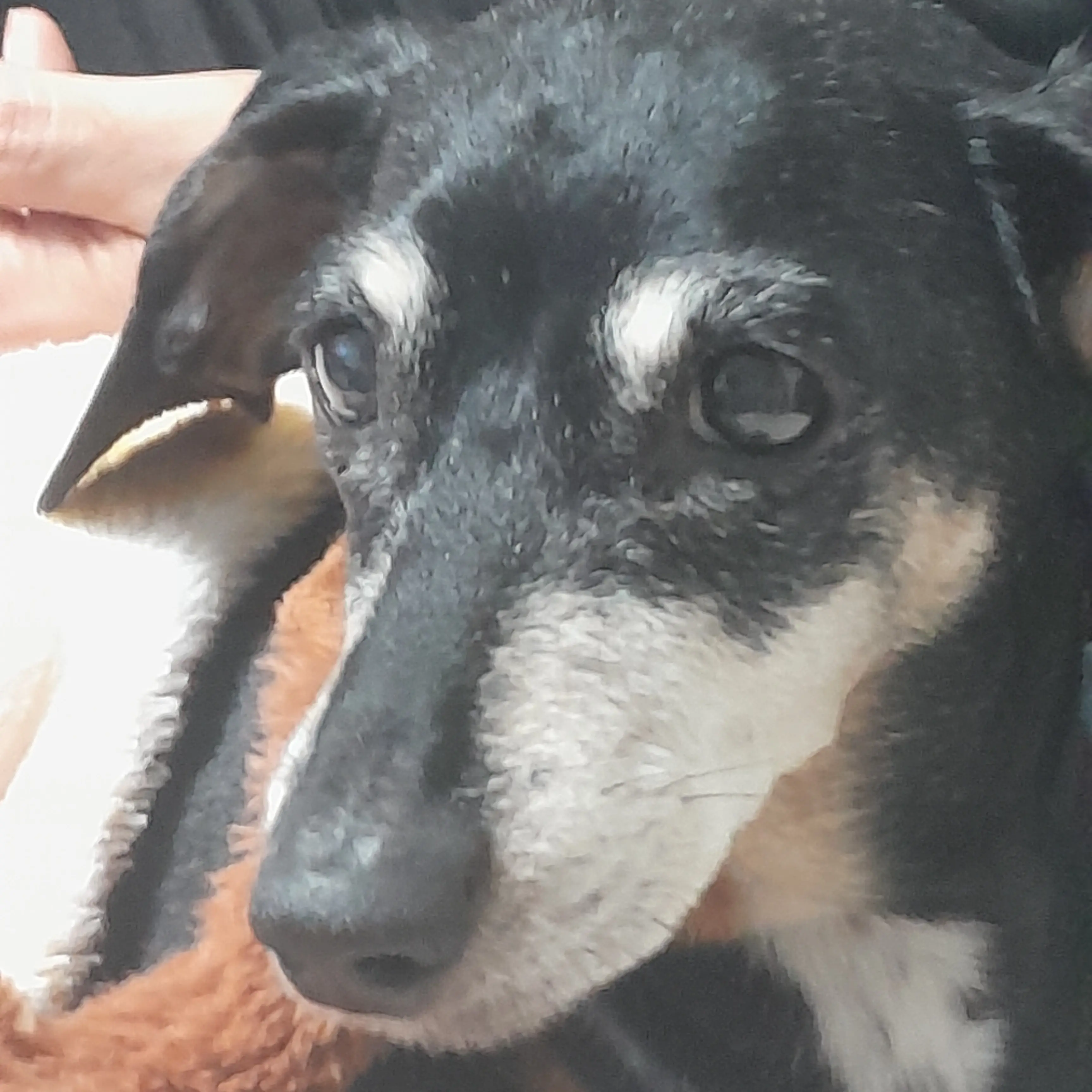 ClumsyDiver0493의 유선반