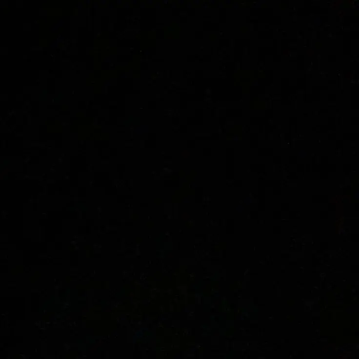 0719의 세하/동구