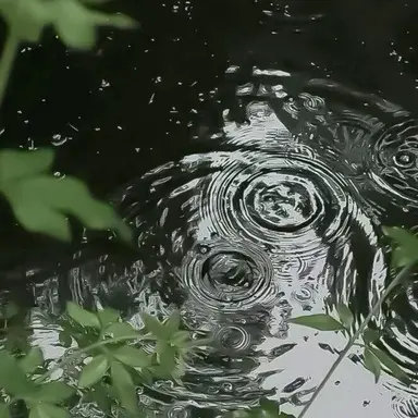 Profile image of 叢雲カゲツ