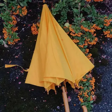 Profile image of 宇佐美リト