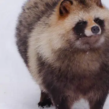 Profile image of 君