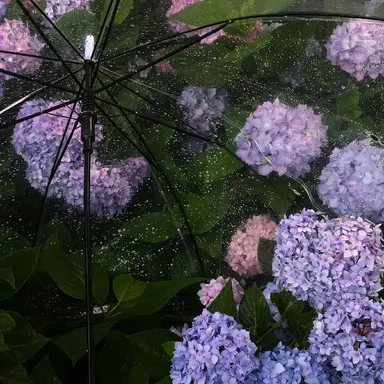 Profile image of 星導ショウ