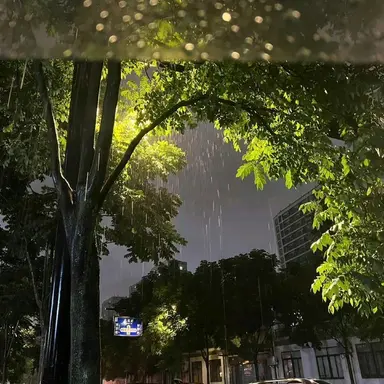 Profile image of 伊波ライ